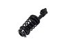 1331573L Suspension Strut and Coil Spring Assembly - image 3