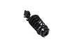 1331573L Suspension Strut and Coil Spring Assembly - image 4