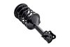 1331595L Suspension Strut and Coil Spring Assembly - image 2
