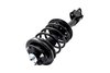 1331595L Suspension Strut and Coil Spring Assembly - image 3