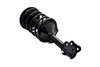 1331595R Suspension Strut and Coil Spring Assembly - image 2