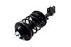 1331595R Suspension Strut and Coil Spring Assembly - image 3