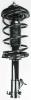 1331596L Suspension Strut and Coil Spring Assembly - image 1