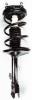 1331604L Suspension Strut and Coil Spring Assembly - image 1