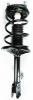 1331604R Suspension Strut and Coil Spring Assembly - image 1