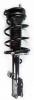 1331608L Suspension Strut and Coil Spring Assembly - image 1