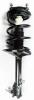 1331623L Suspension Strut and Coil Spring Assembly - image 1