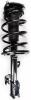 1331625R Suspension Strut and Coil Spring Assembly - image 1