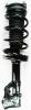 1331629L Suspension Strut and Coil Spring Assembly - image 1