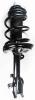 1331634L Suspension Strut and Coil Spring Assembly - image 1