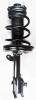 1331634R Suspension Strut and Coil Spring Assembly - image 1