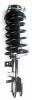 1331645R Suspension Strut and Coil Spring Assembly - image 1