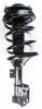 1331659R Suspension Strut and Coil Spring Assembly - image 1