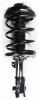 1331663R Suspension Strut and Coil Spring Assembly - image 1