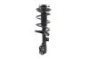 1331664L Suspension Strut and Coil Spring Assembly - image 1