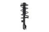 1331664R Suspension Strut and Coil Spring Assembly - image 1