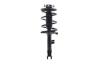 1331671L Suspension Strut and Coil Spring Assembly - image 1