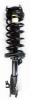 1331675L Suspension Strut and Coil Spring Assembly - image 1