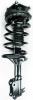 1331702R Suspension Strut and Coil Spring Assembly - image 1