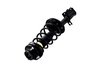 1331709L Suspension Strut and Coil Spring Assembly - image 3