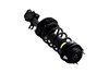 1331709L Suspension Strut and Coil Spring Assembly - image 4