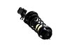 1331709R Suspension Strut and Coil Spring Assembly - image 4