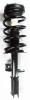 1331713L Suspension Strut and Coil Spring Assembly - image 1