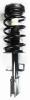 1331713R Suspension Strut and Coil Spring Assembly - image 1