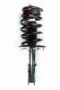 1331733 Suspension Strut and Coil Spring Assembly - image 1