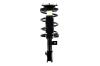 1331739L Suspension Strut and Coil Spring Assembly - image 1