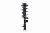 1331741L Suspension Strut and Coil Spring Assembly - image 1