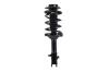 1331744L Suspension Strut and Coil Spring Assembly - image 1