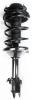 1331745R Suspension Strut and Coil Spring Assembly - image 1