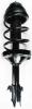 1331747R Suspension Strut and Coil Spring Assembly - image 1