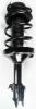 1331750R Suspension Strut and Coil Spring Assembly - image 1