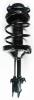 1331751L Suspension Strut and Coil Spring Assembly - image 1