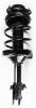1331753L Suspension Strut and Coil Spring Assembly - image 1