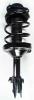 1331753R Suspension Strut and Coil Spring Assembly - image 1