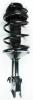 1331754R Suspension Strut and Coil Spring Assembly - image 1