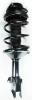 1331755R Suspension Strut and Coil Spring Assembly - image 1