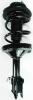 1331758R Suspension Strut and Coil Spring Assembly - image 1