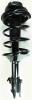 1331759R Suspension Strut and Coil Spring Assembly - image 1
