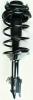 1331760R Suspension Strut and Coil Spring Assembly - image 1