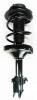 1331762L Suspension Strut and Coil Spring Assembly - image 1
