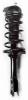 1331773 Suspension Strut and Coil Spring Assembly - image 1