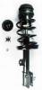 1331776R Suspension Strut and Coil Spring Assembly - image 1
