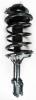 1331794R Suspension Strut and Coil Spring Assembly - image 1