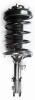 1331799R Suspension Strut and Coil Spring Assembly - image 1