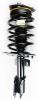 1331818 Suspension Strut and Coil Spring Assembly - image 1