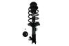 1331847L Suspension Strut and Coil Spring Assembly - image 1